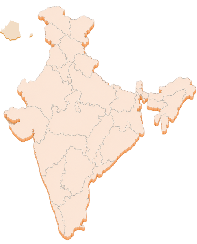 India distribution network